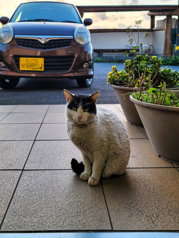 catx600.jpg
