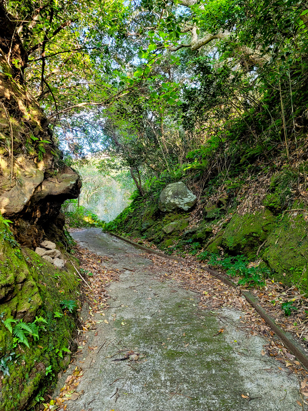 osato-shrine-path1x600.jpg