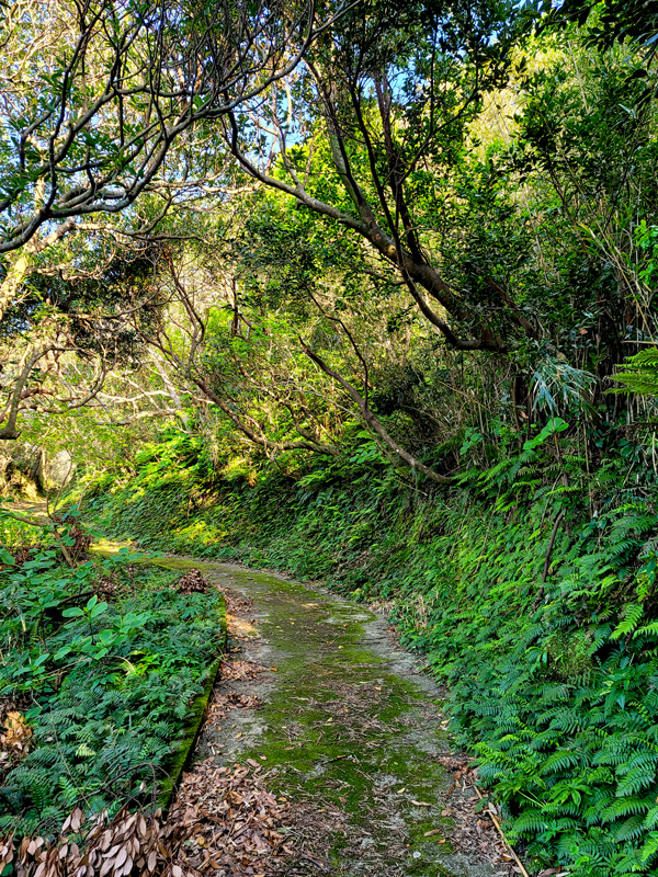 osato-shrine-path2x600.jpg