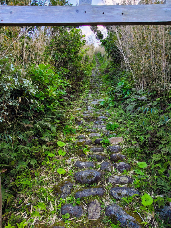 osato-shrine-steps1x600.jpg