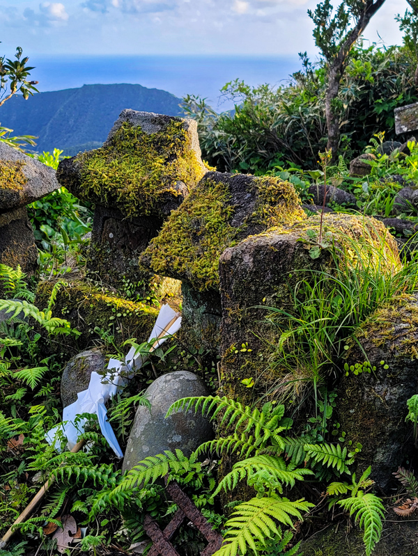 osato-shrine5x600.jpg