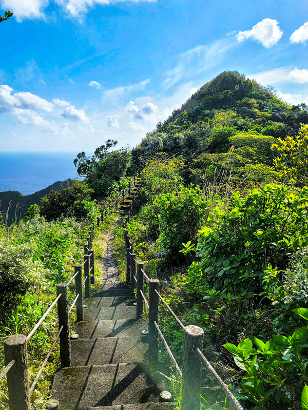 oyama-park-path1x600.jpg