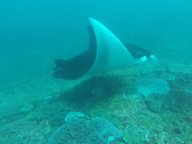 image1.JPG
