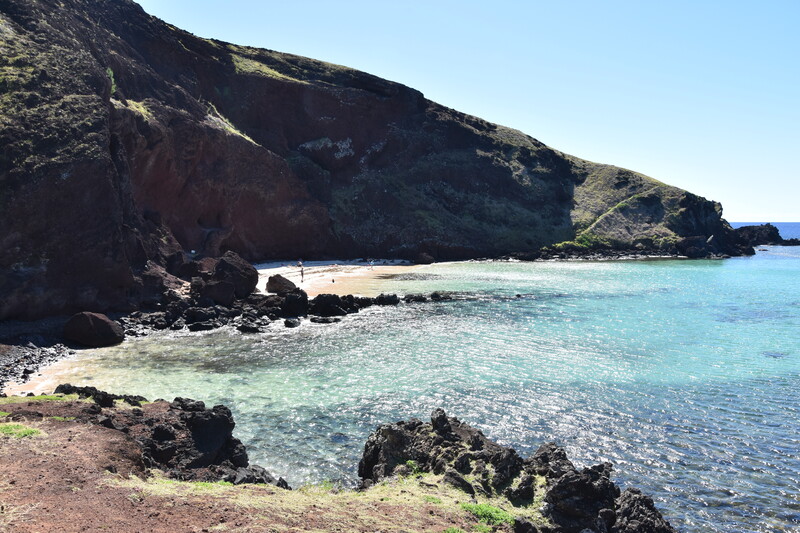 DSC_3398.jpg