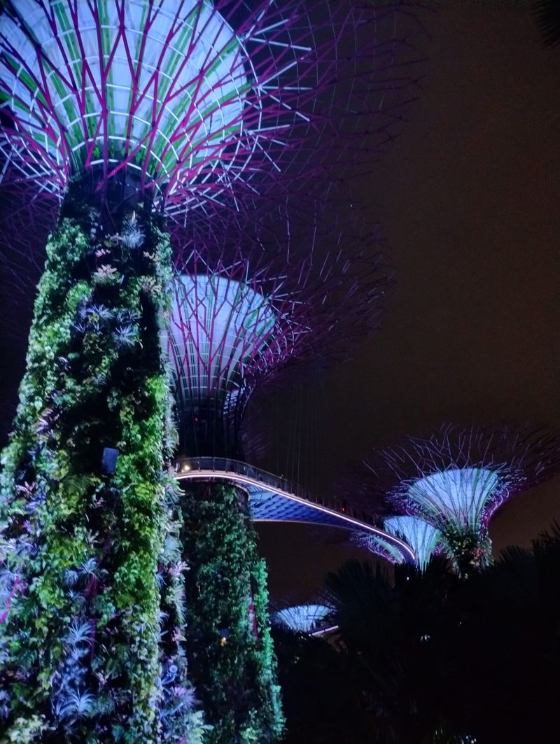 singapur2.jpg