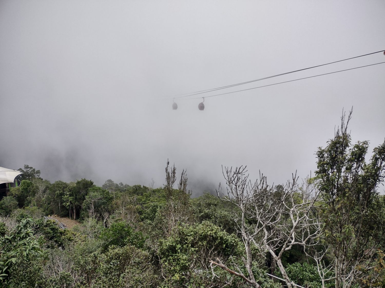 sky bridge1.jpg