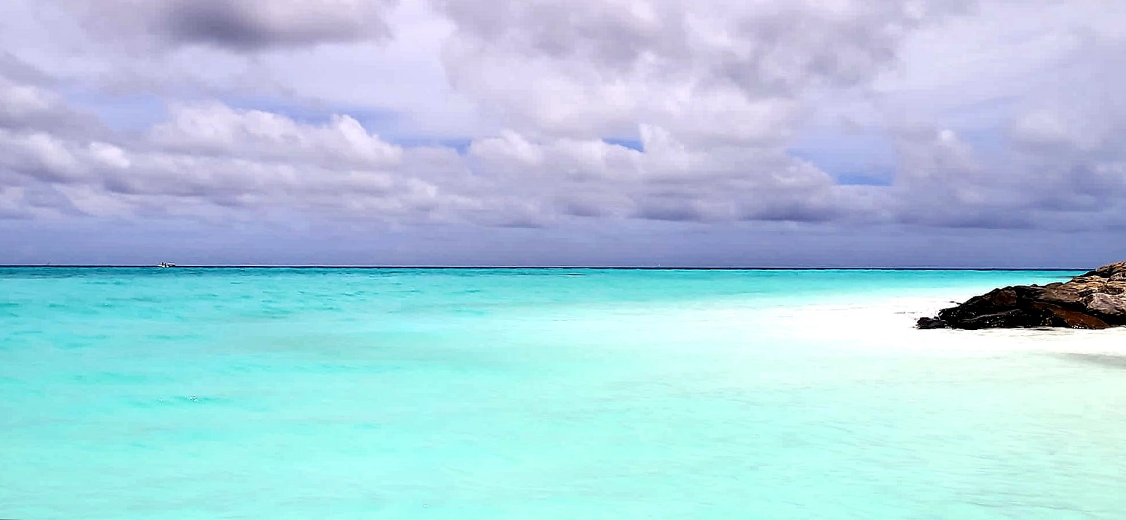 20230502_132642.jpg
