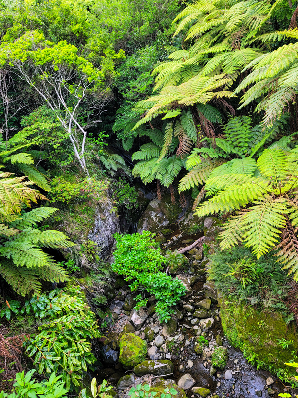 waterfall-trek1x600.jpg