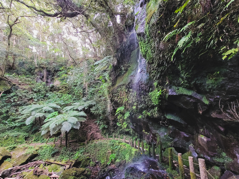 waterfall-trek3x800.jpg
