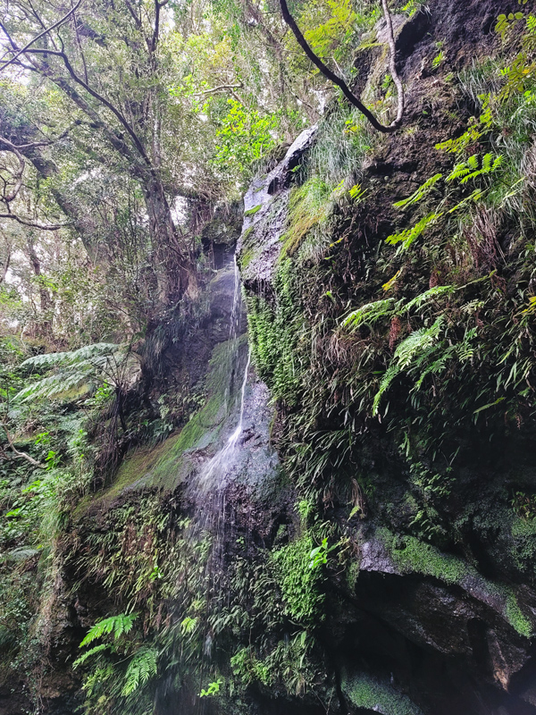 waterfall-trek4x600.jpg