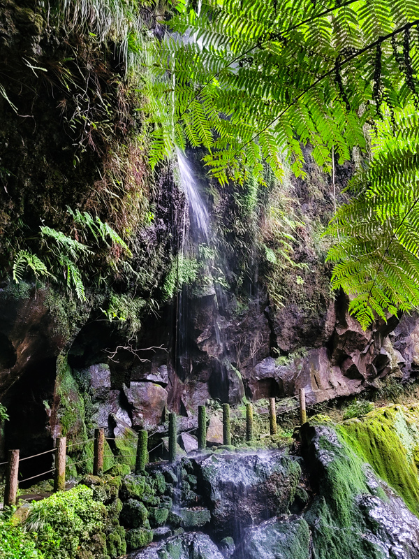 waterfall-trek5x600.jpg