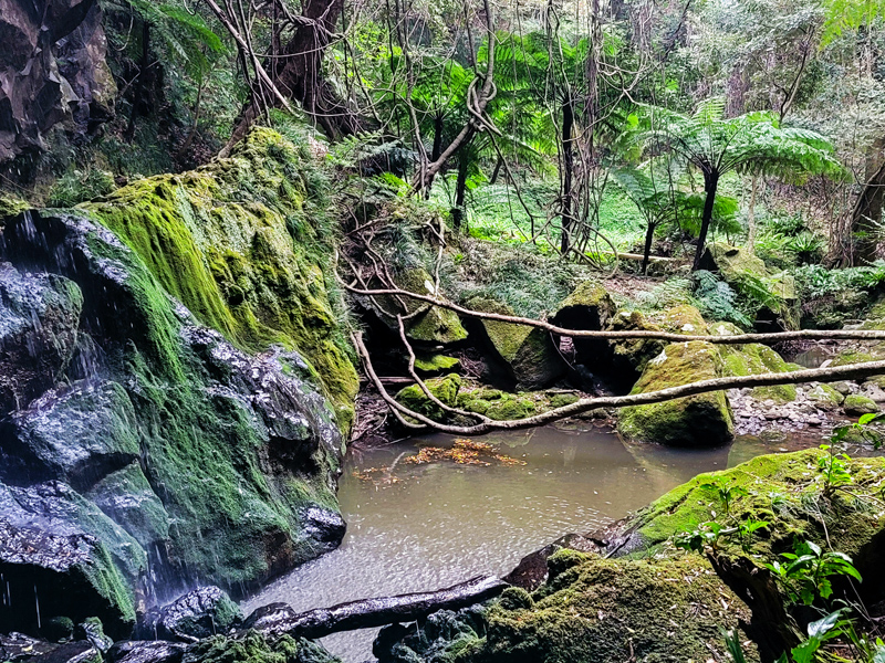 waterfall-trek6x800.jpg