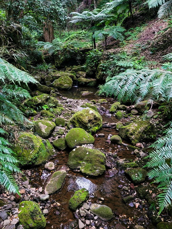 waterfall-trek8x600.jpg