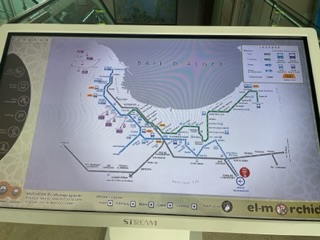 IMG_3744.jpeg