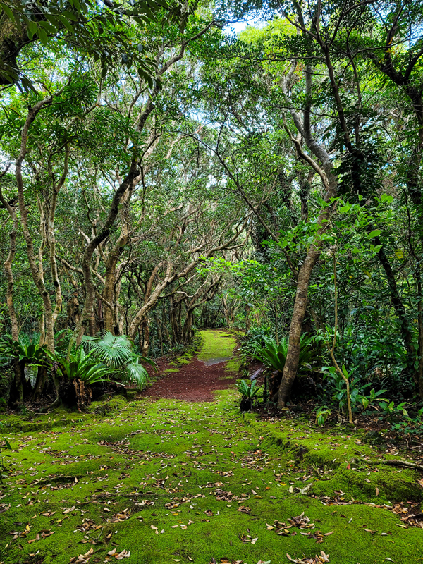 botanical garden-pathx600.jpg