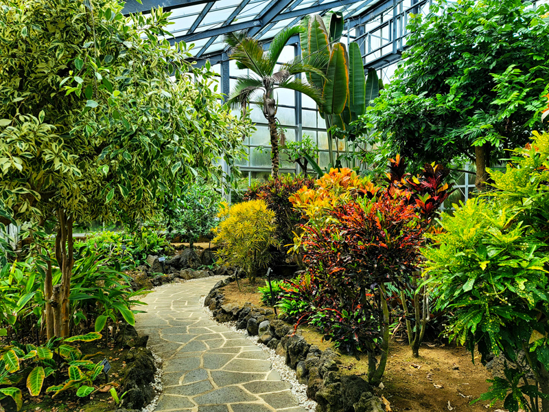 botanical-garden1x800.jpg
