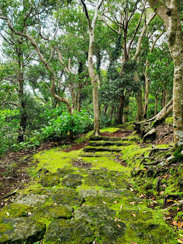 botanical-garden3x600.jpg
