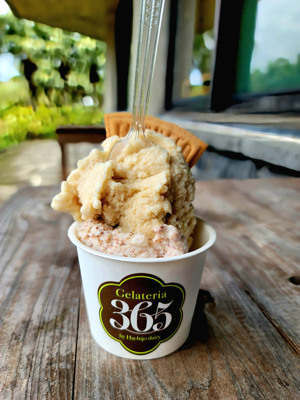 ice-cream-cupx600.jpg