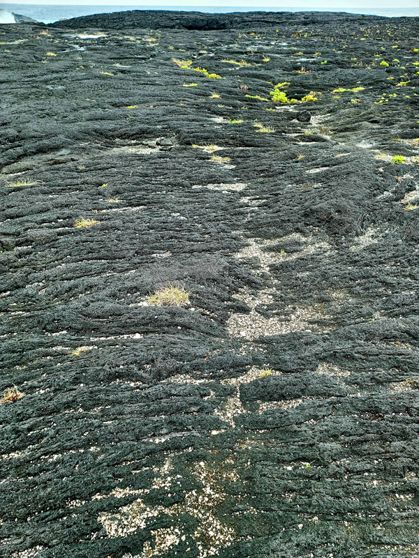 lava-field4x600.jpg