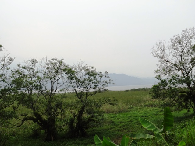 DSC01542.JPG