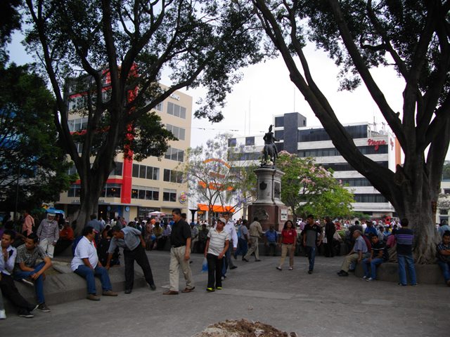 IMGP3801.JPG
