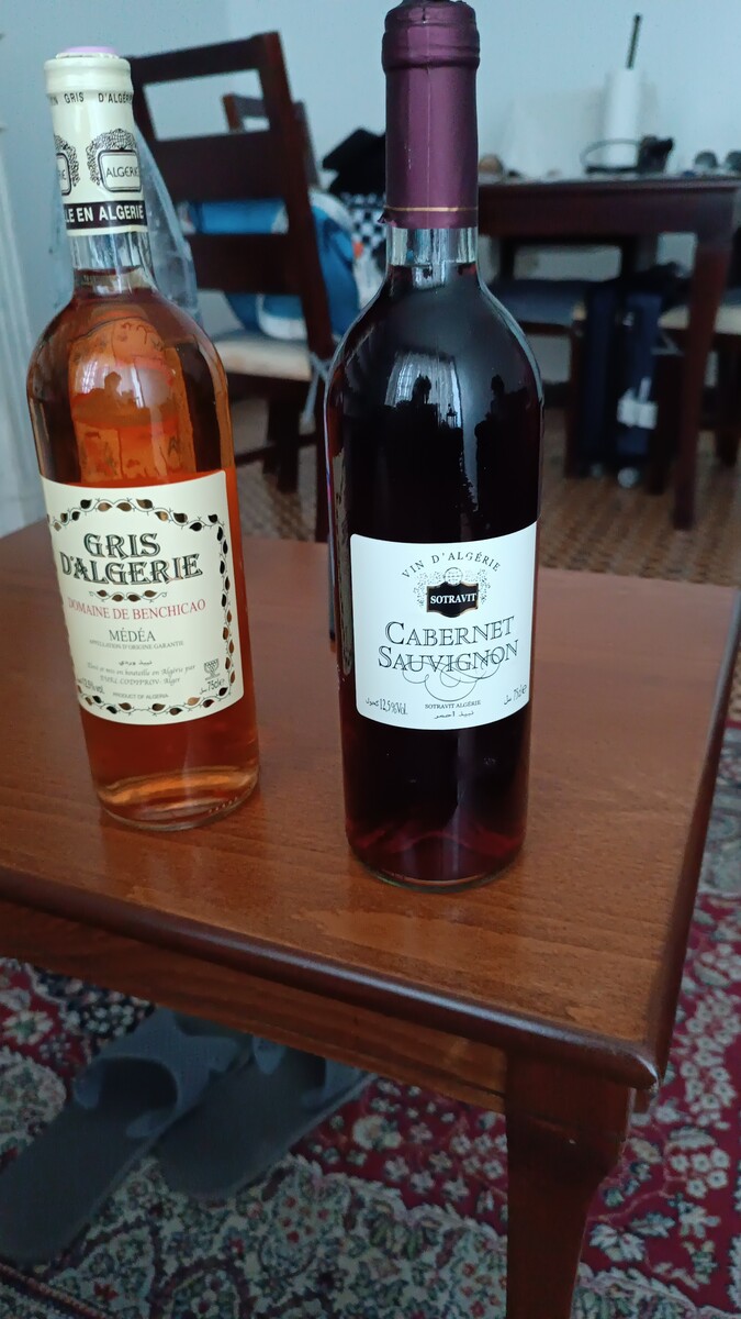 IMG-20231011-WA0006.jpeg