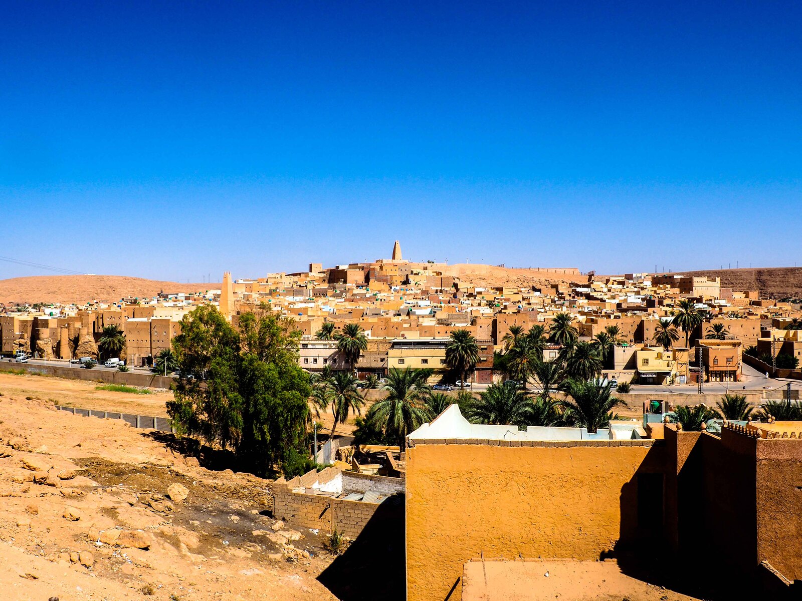PA070163.jpg