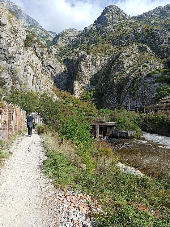 86.jpg