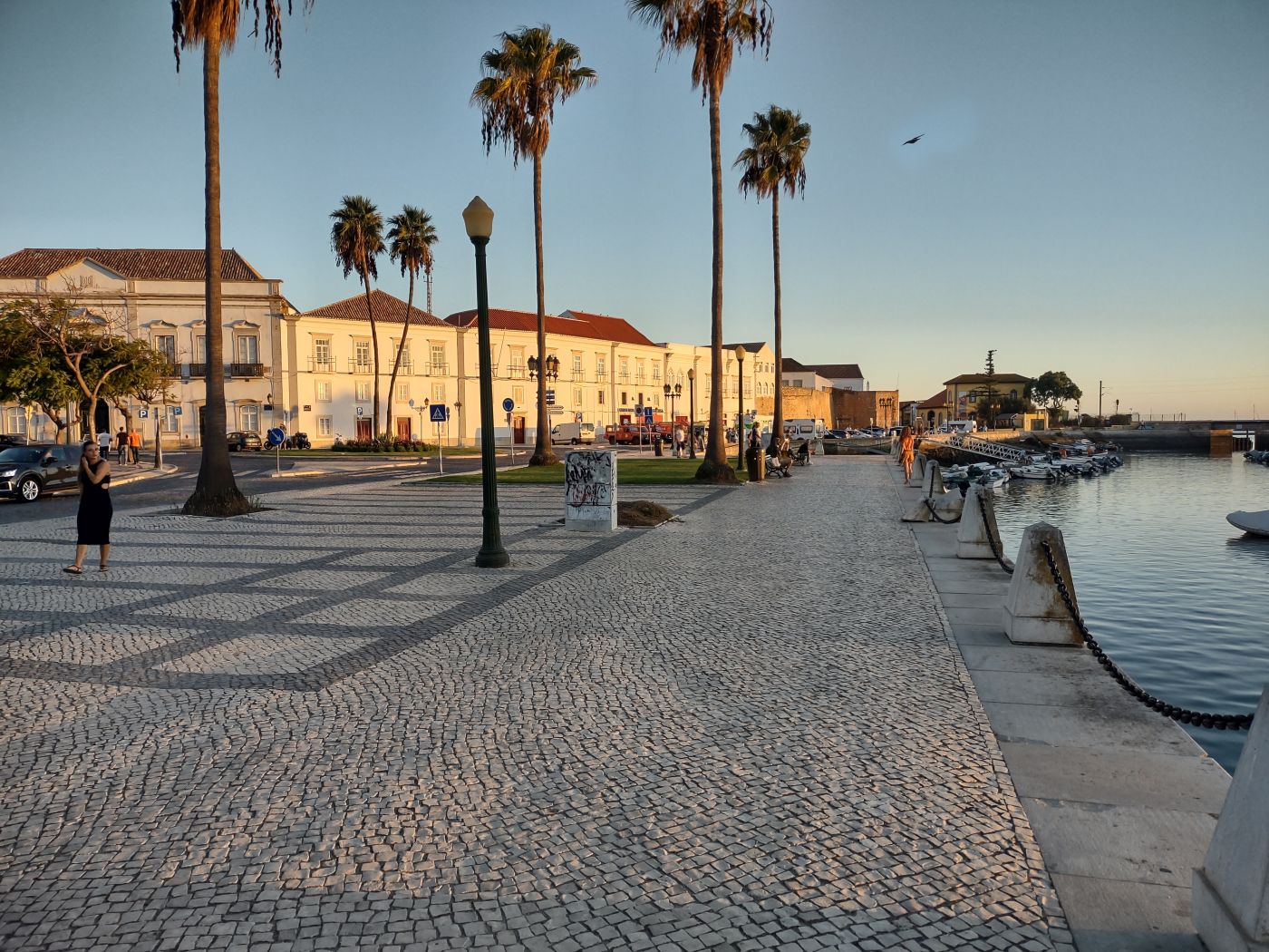 faro2.jpg