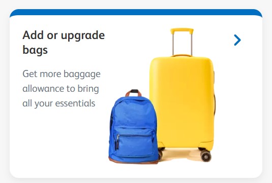 bag.jpg