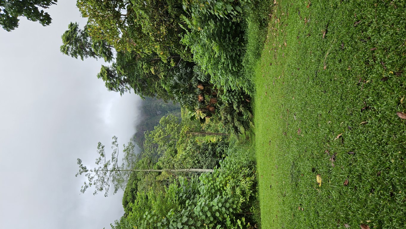 20231013_091205.jpg