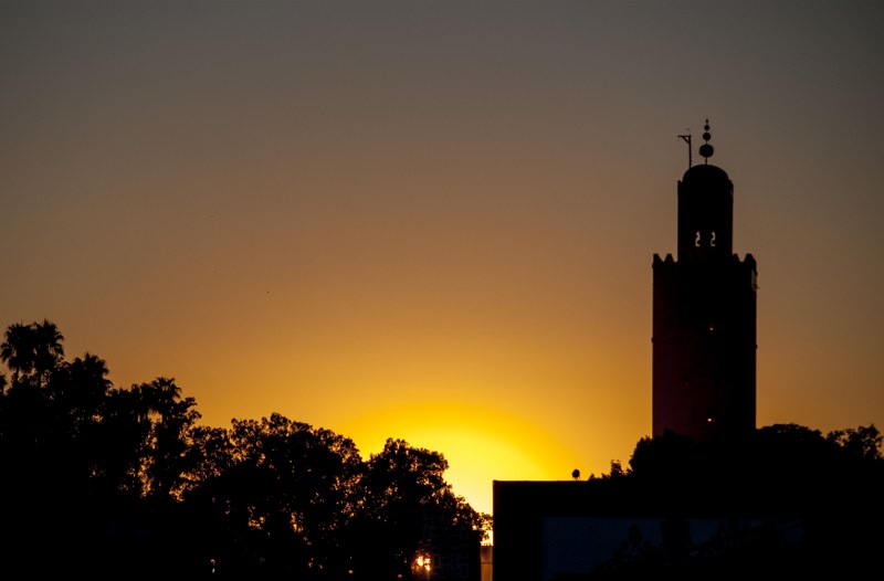 DSC_0087_800x526.jpg