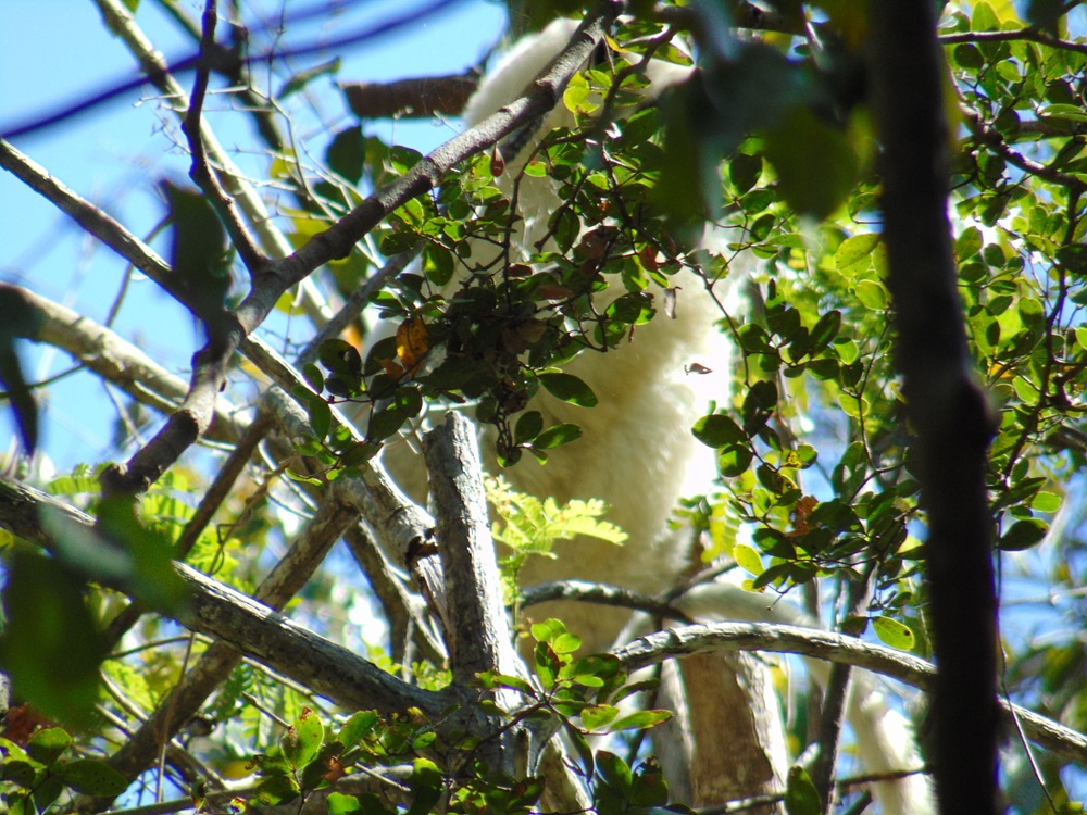 DSC03358.JPG