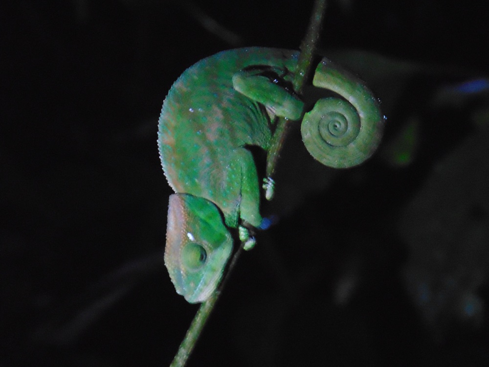 DSC03453.JPG