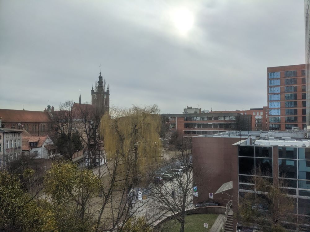 PXL_20230309_133107053.jpg