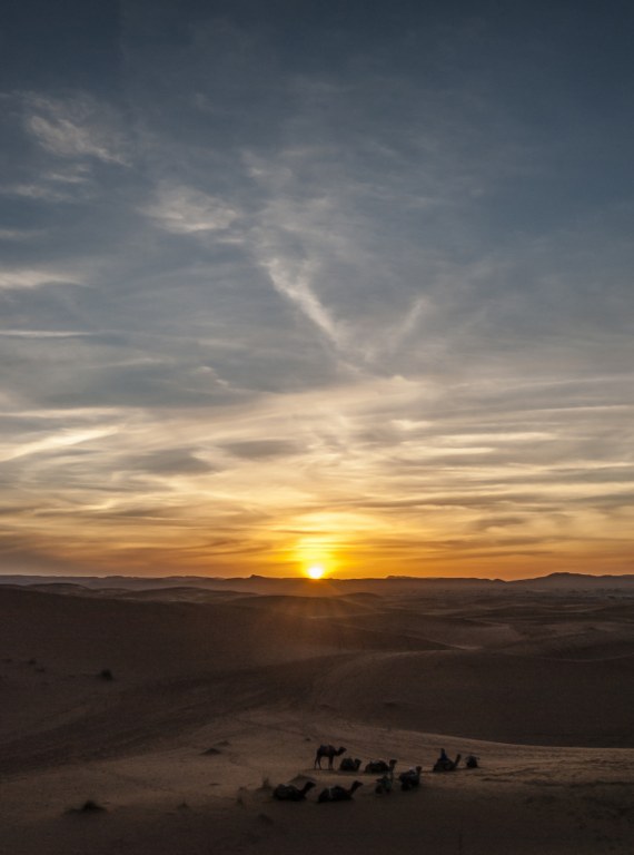DSC_0933_570x768.jpg