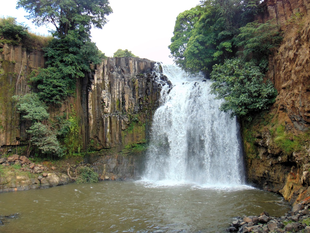 DSC03565.JPG
