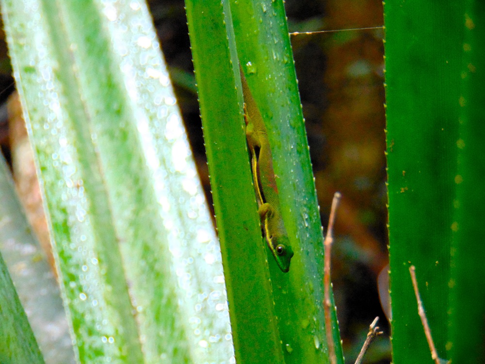 DSC03614.JPG