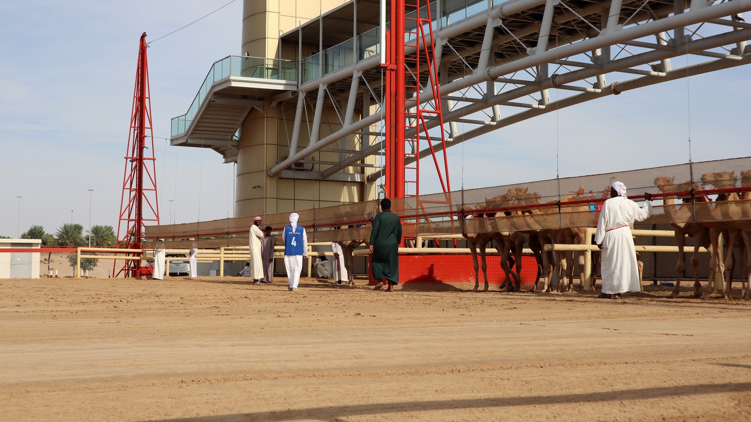 Camels06.jpg
