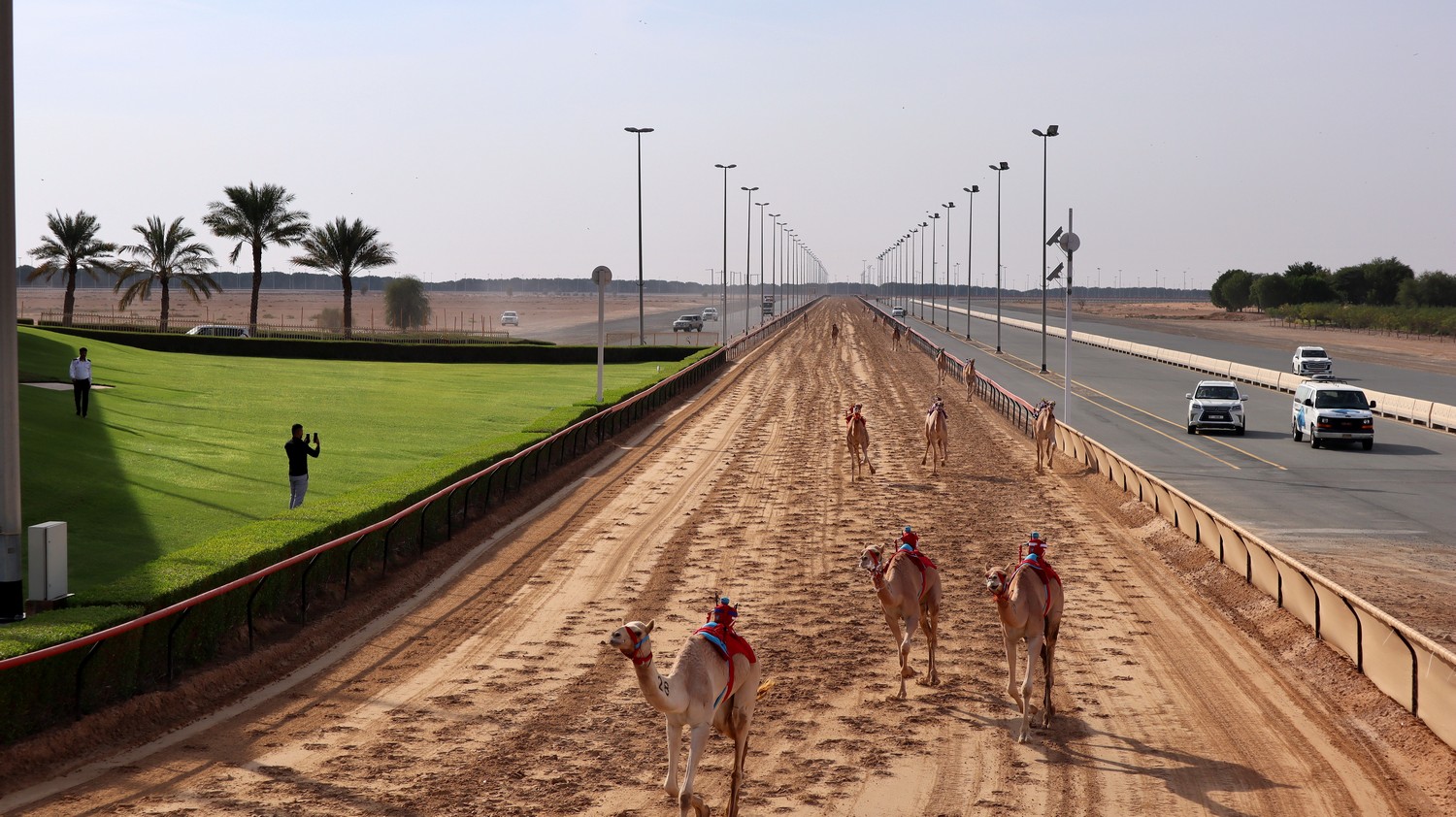 Camels13.jpg
