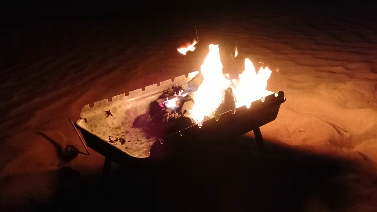 UAE031.jpg
