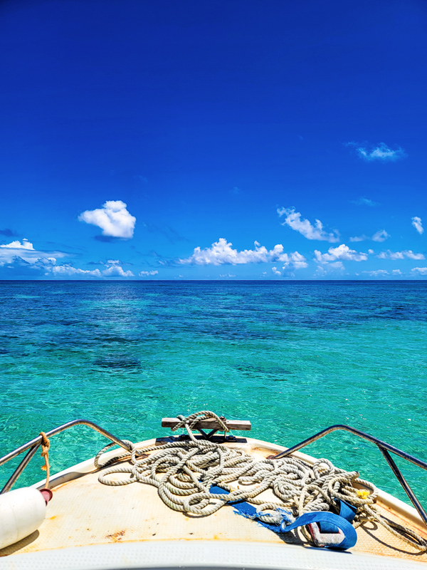 boating-fiesta3x600.jpg
