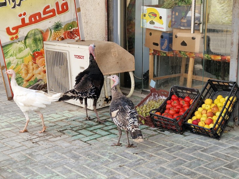 03_009_Basra_dróbnazakupach.jpg