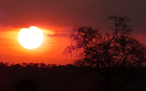 Kenia 1095.jpg