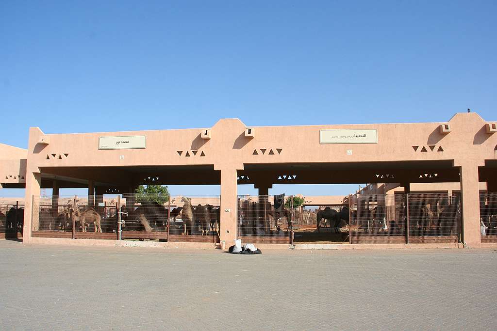 Al Ain Camel Souk (1).jpg
