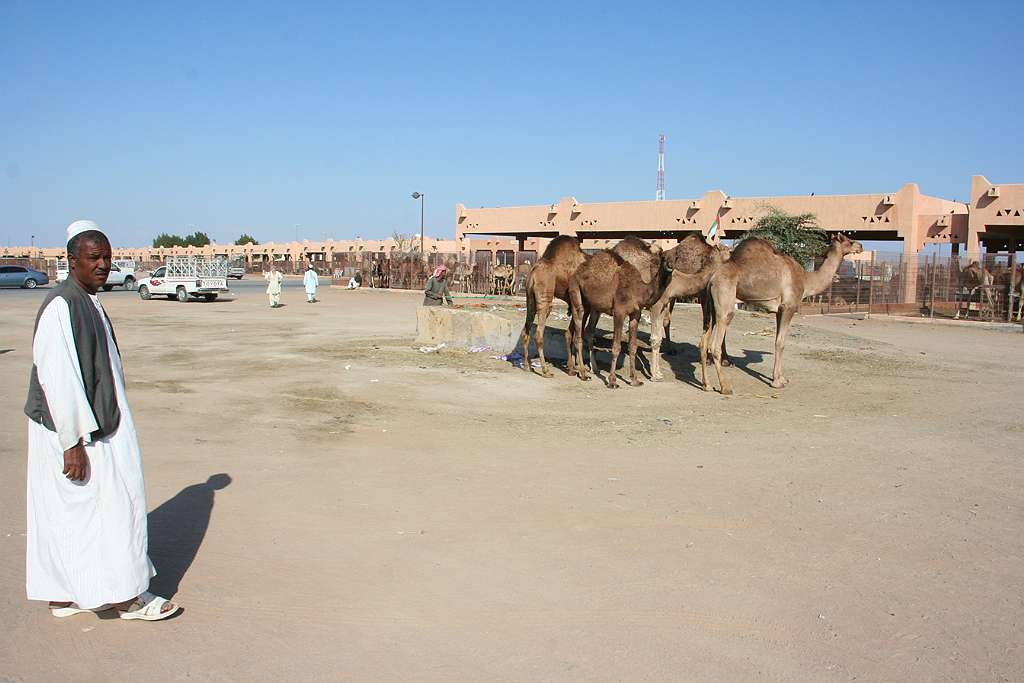 Al Ain Camel Souk (2).jpg