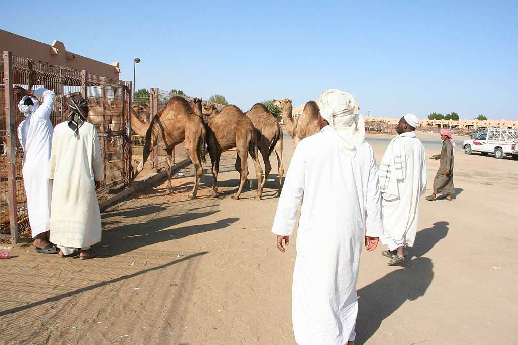 Al Ain Camel Souk (3).jpg