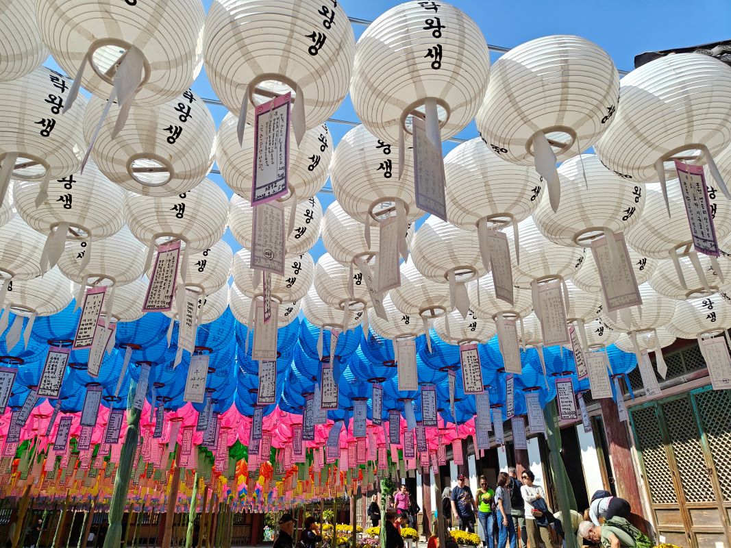 IMG20231025112444.jpg