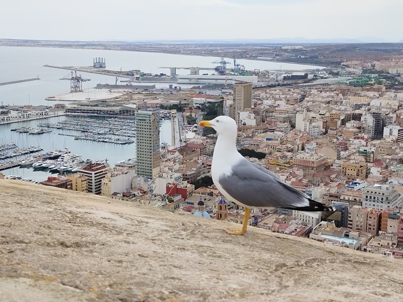 4-Alicante.jpg
