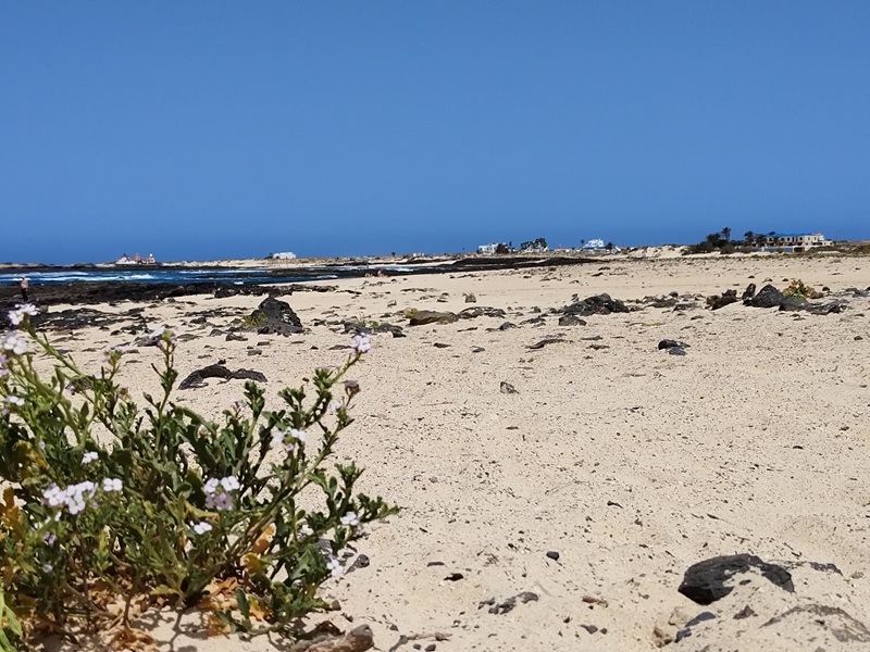 4-Fuertaventura_2.jpg